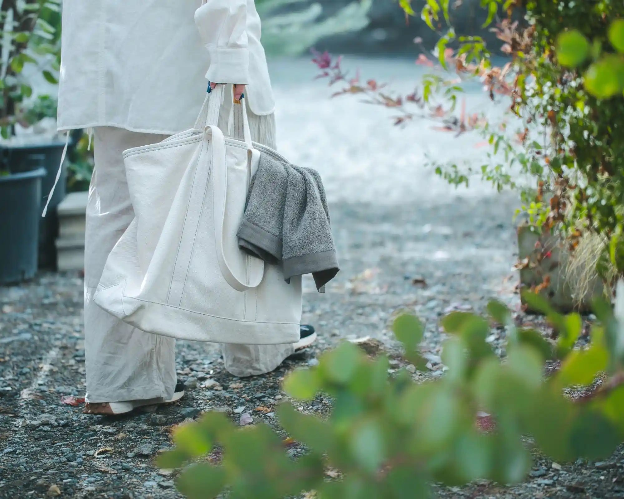 IORINO SUGUSARA (New)