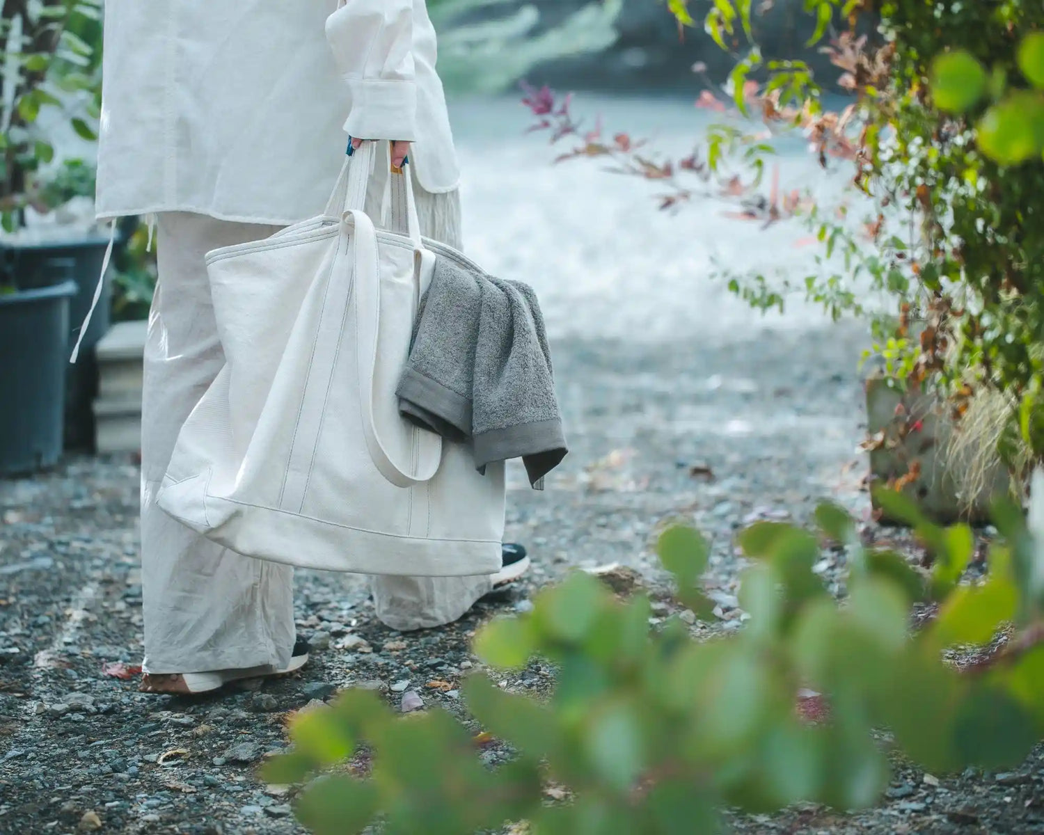 IORINO SUGUSARA (New)